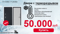 Дверь с терморазрывом ВМ-100 весь ноябрь! Акция!