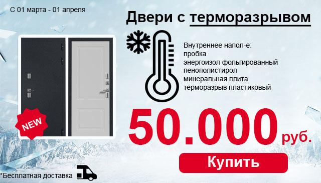 Дверь входная с терморазрывом ВМ-100 в марте